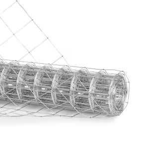 Electro Galvanized Before Welded Wire Mesh image 1