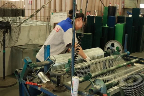 Quality inspection of PVC coated welded wire mesh